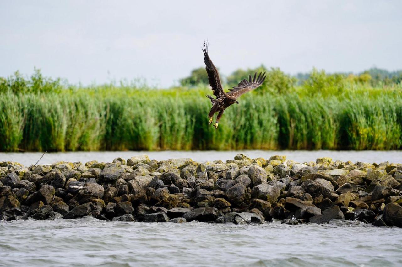 B&B Logeren Bij De Burgemeester Stad aan 't Haringvliet Exterior foto